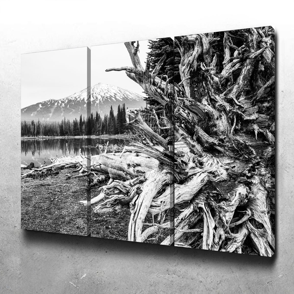 Mt. Bachelor - Sparks Lake Wall Art