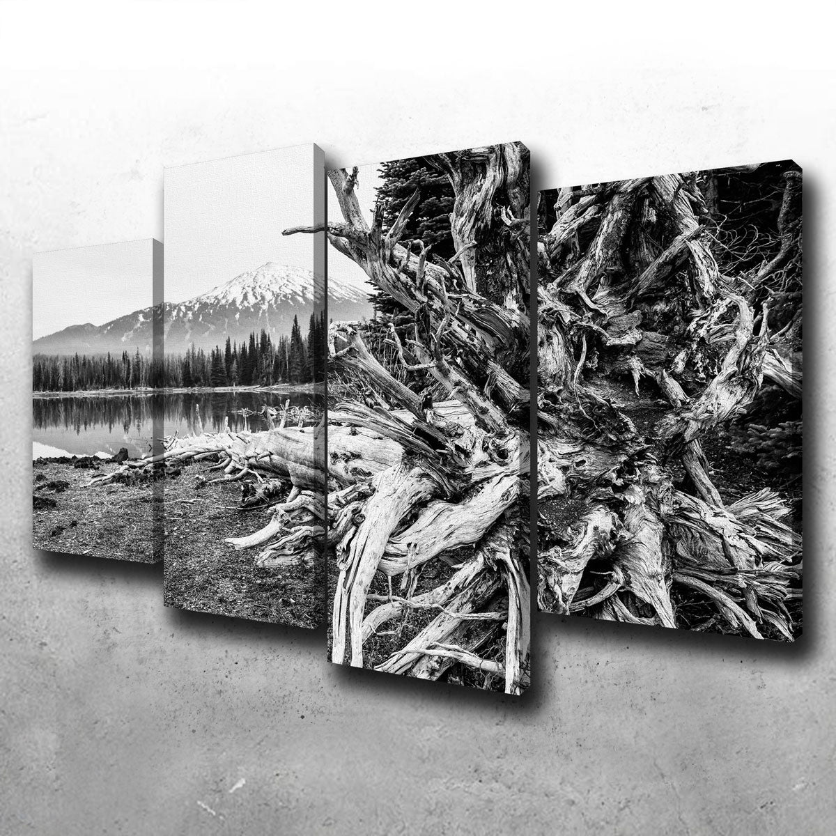 Mt. Bachelor - Sparks Lake Wall Art