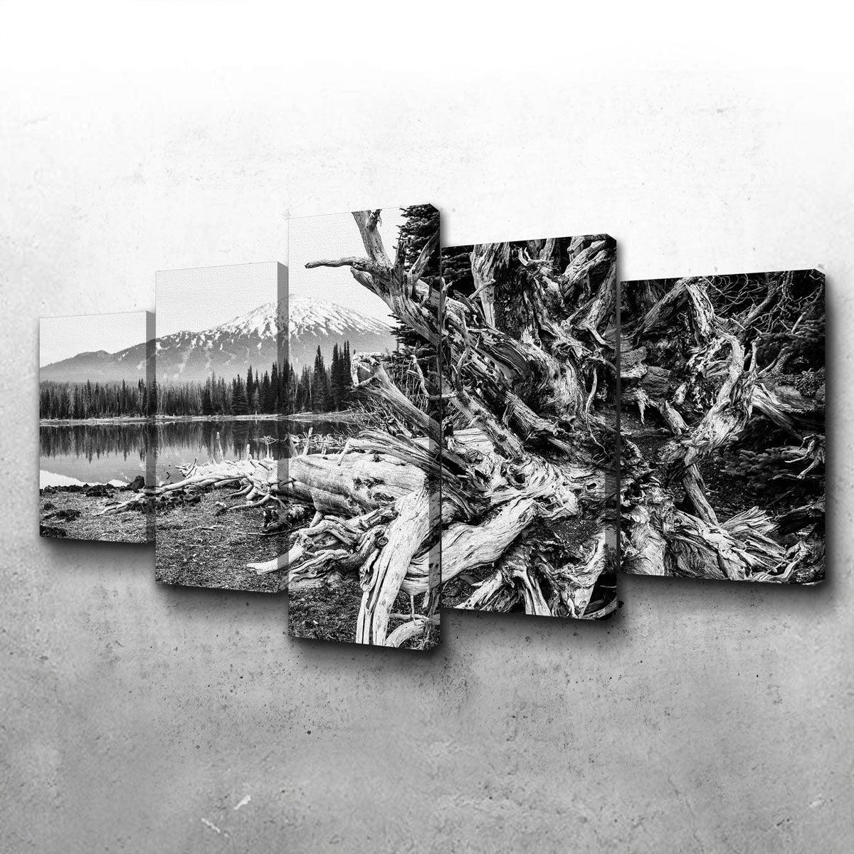 Mt. Bachelor - Sparks Lake Wall Art