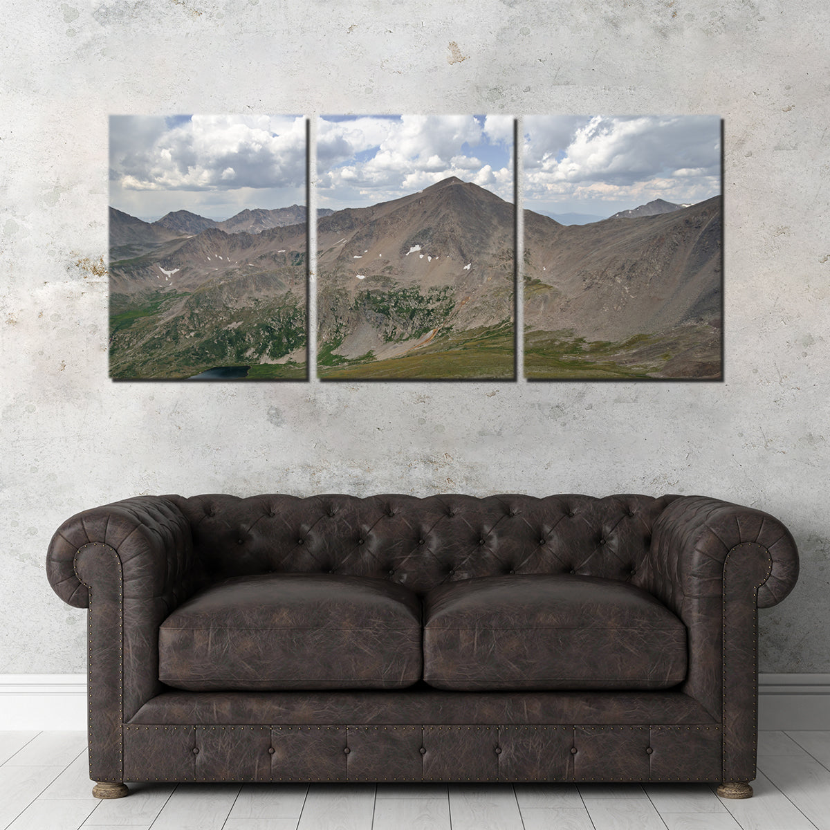 Mt. Democrat Wall Art