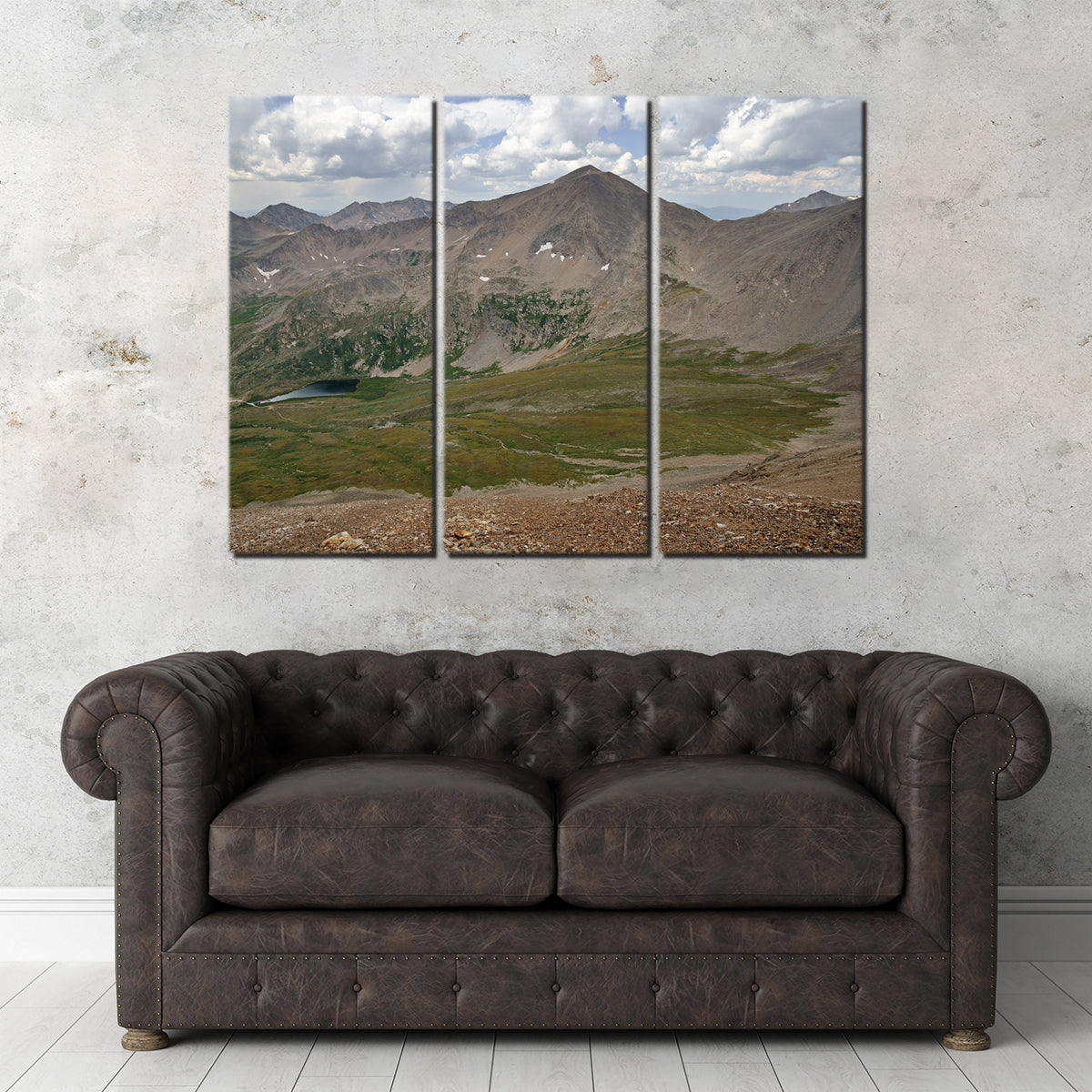 Mt. Democrat Wall Art