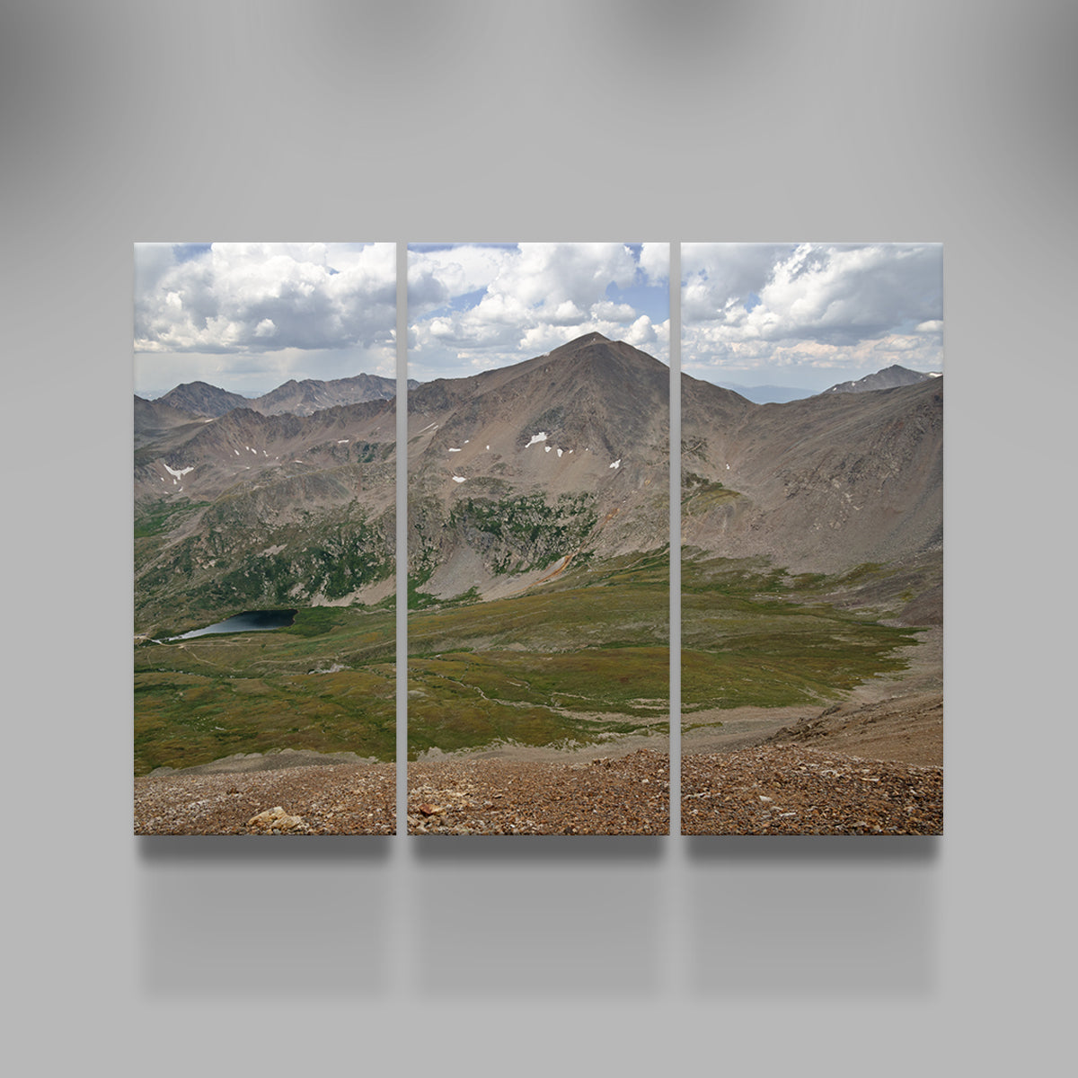 Mt. Democrat Wall Art