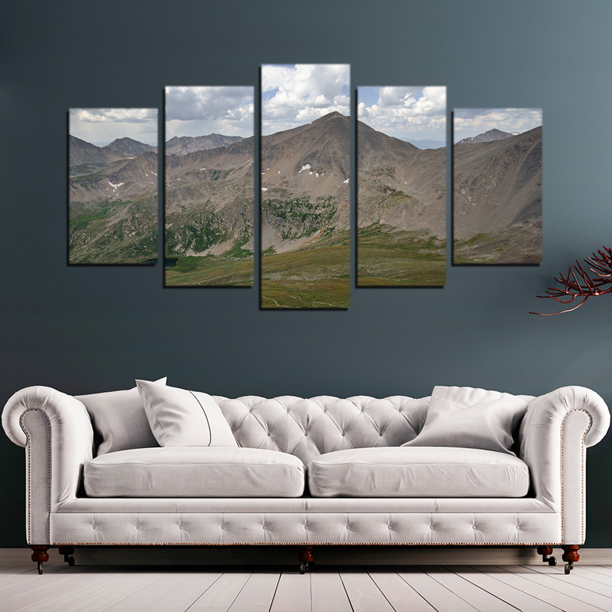 Mt. Democrat Wall Art