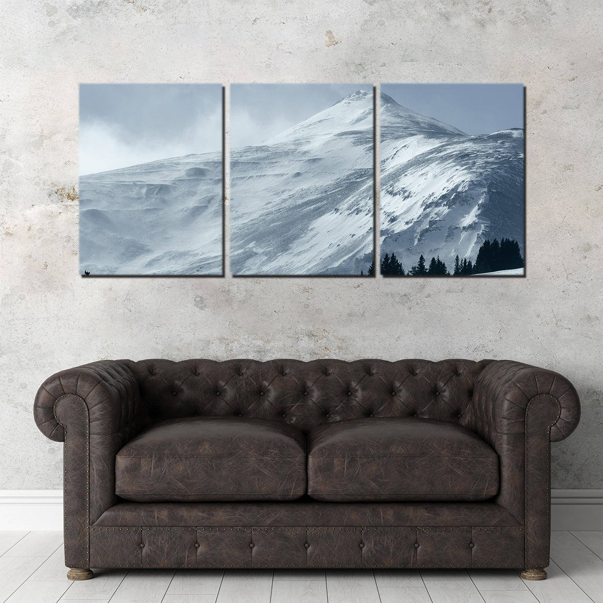 Mt. Lincoln Wall Art