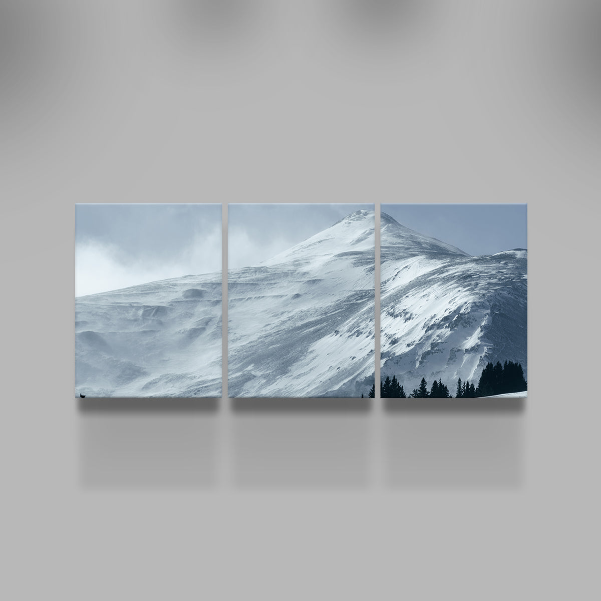 Mt. Lincoln Wall Art