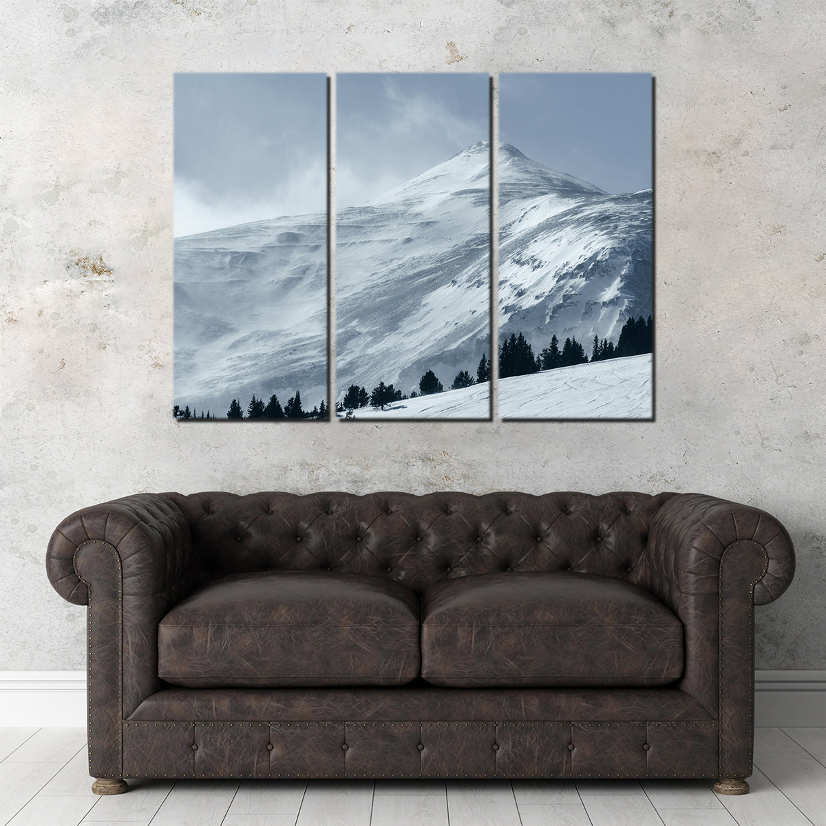 Mt. Lincoln Wall Art