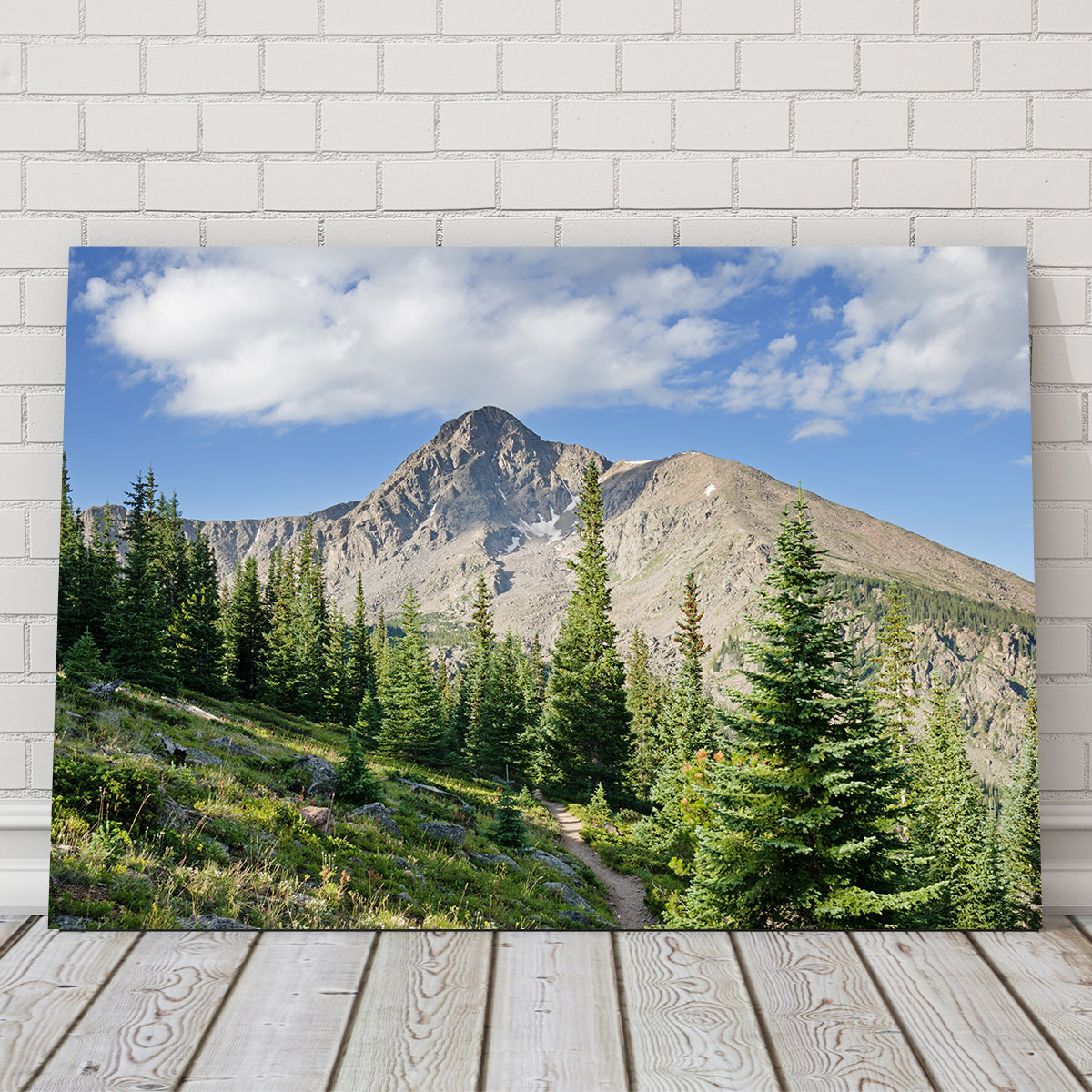 Mt. of the Holy Cross Wall Art