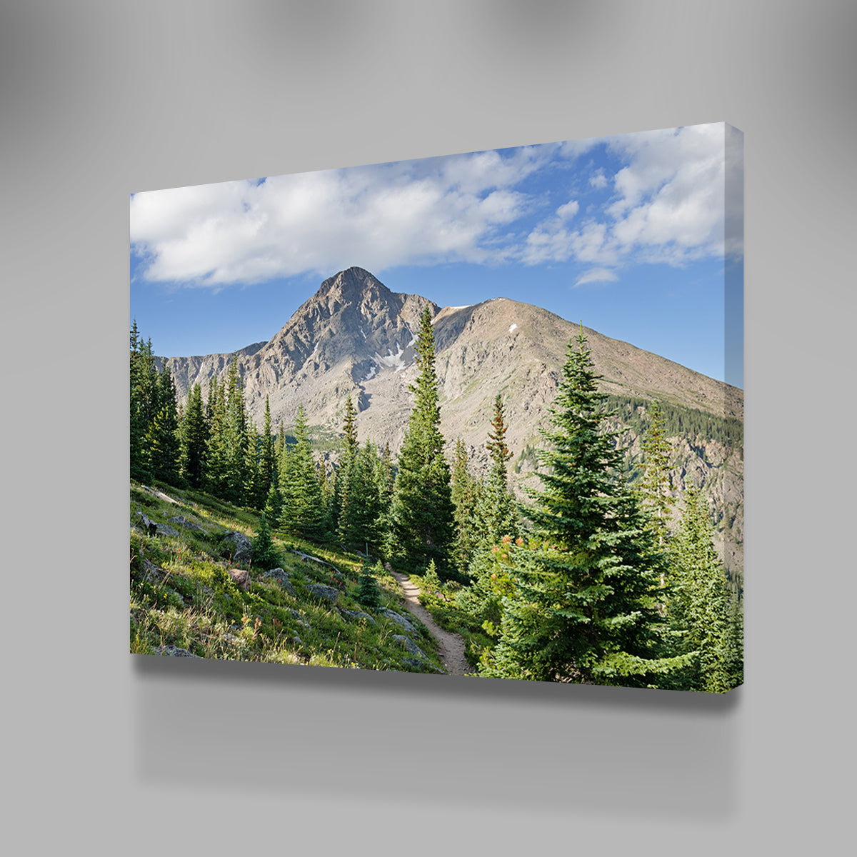 Mt. of the Holy Cross Wall Art