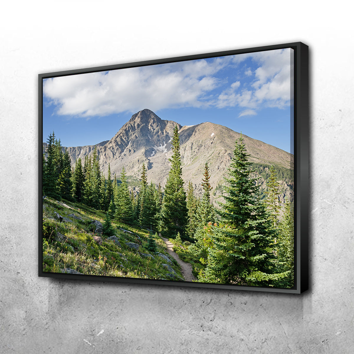 Mt. of the Holy Cross Wall Art