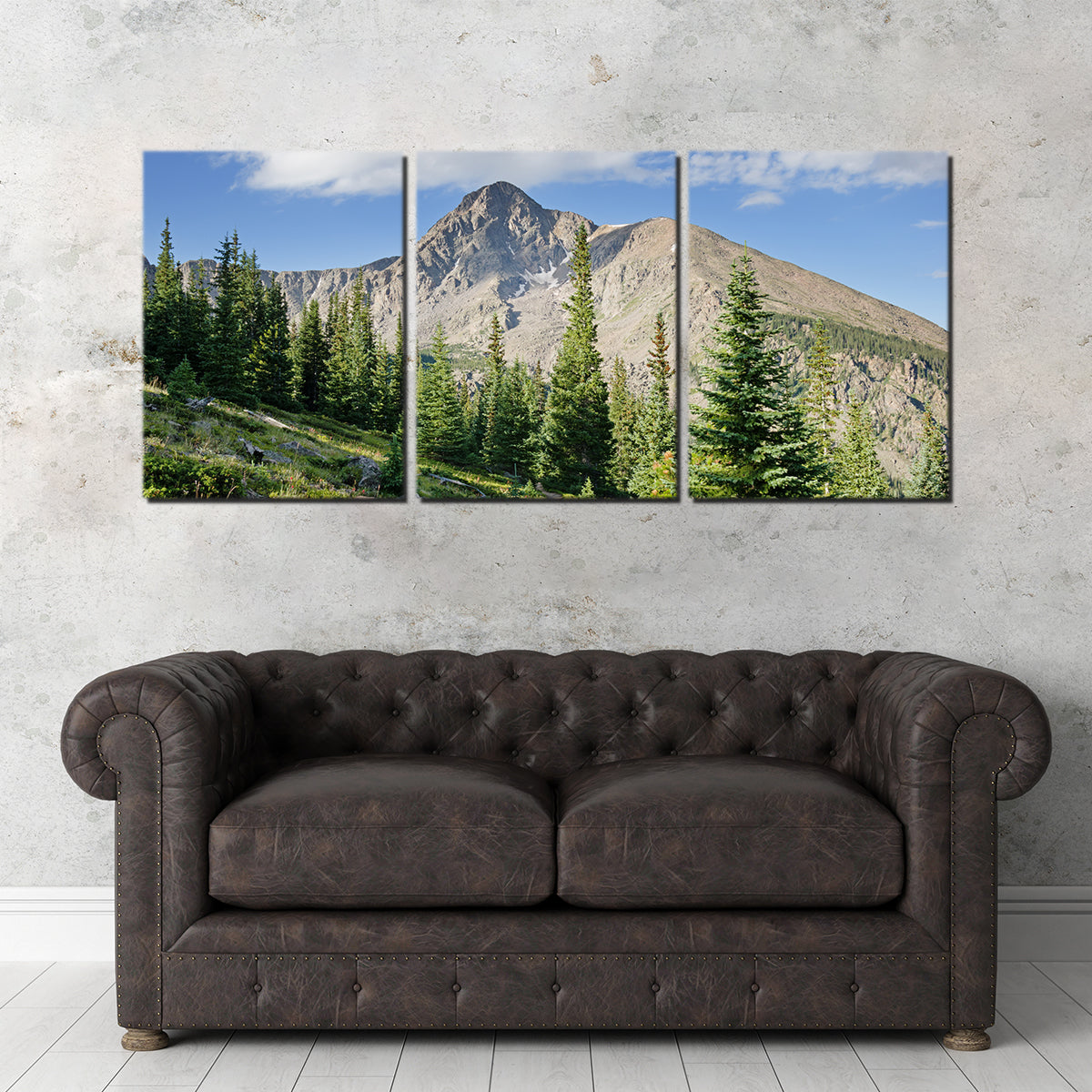 Mt. of the Holy Cross Wall Art