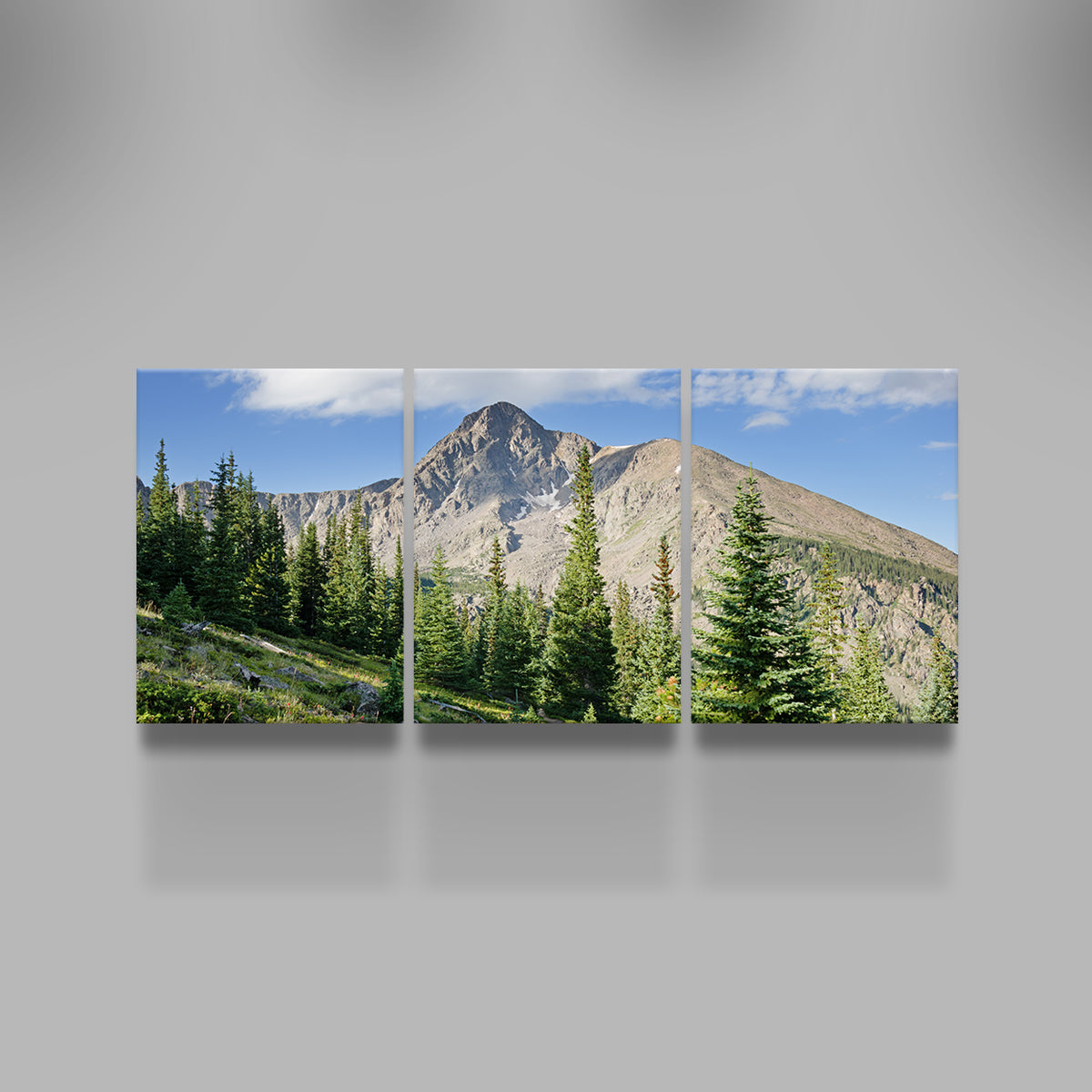 Mt. of the Holy Cross Wall Art