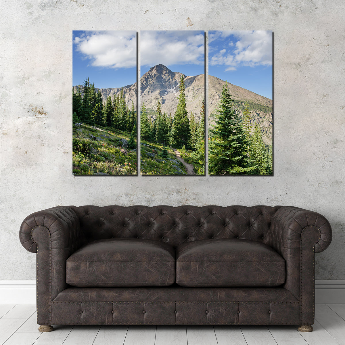 Mt. of the Holy Cross Wall Art