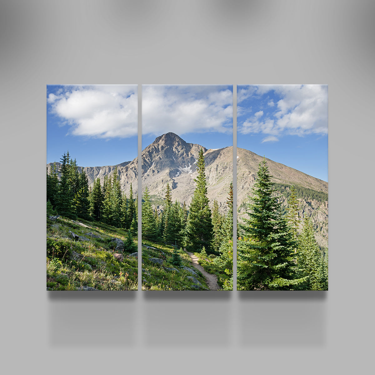 Mt. of the Holy Cross Wall Art