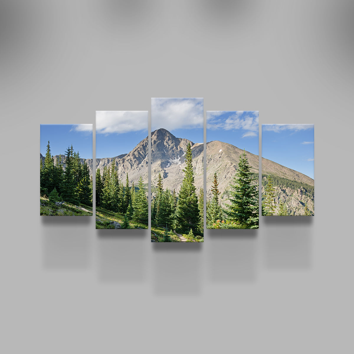 Mt. of the Holy Cross Wall Art