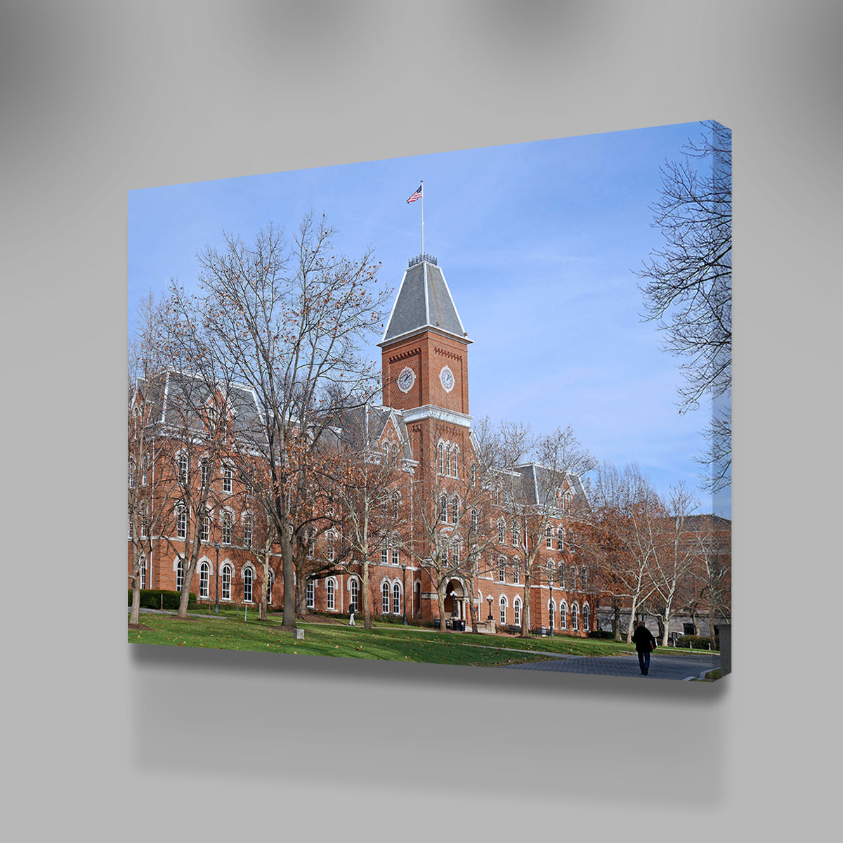 Ohio State University Hall Wall Art