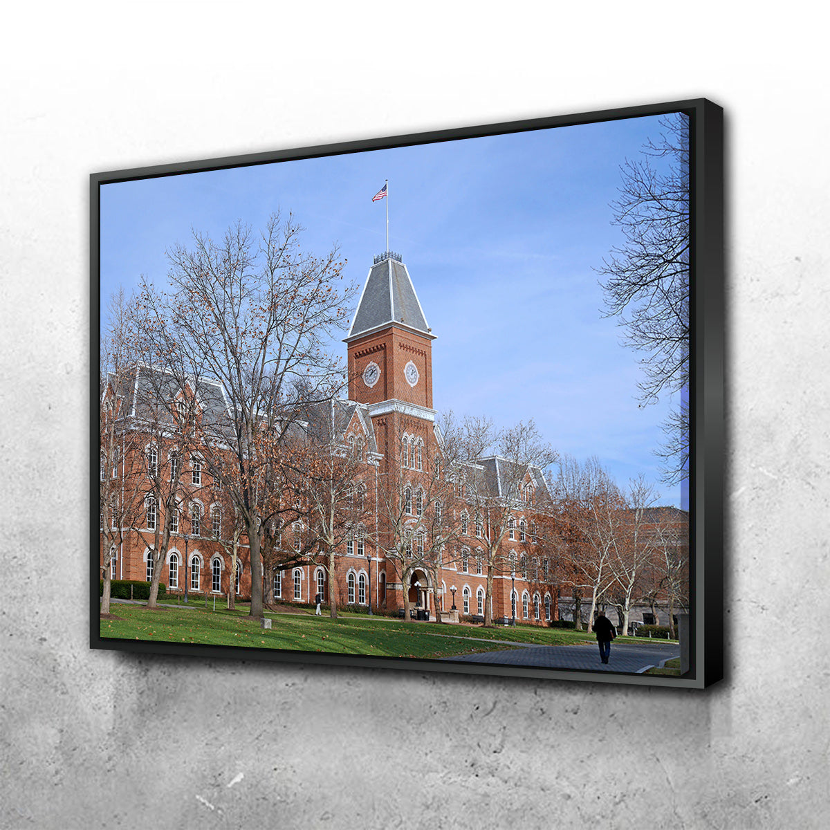 Ohio State University Hall Wall Art