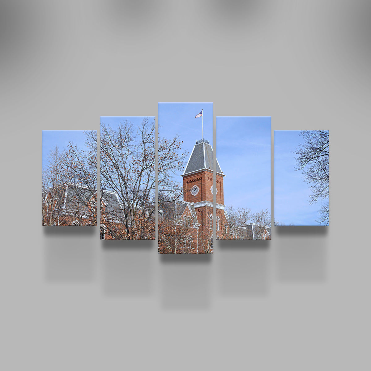 Ohio State University Hall Wall Art