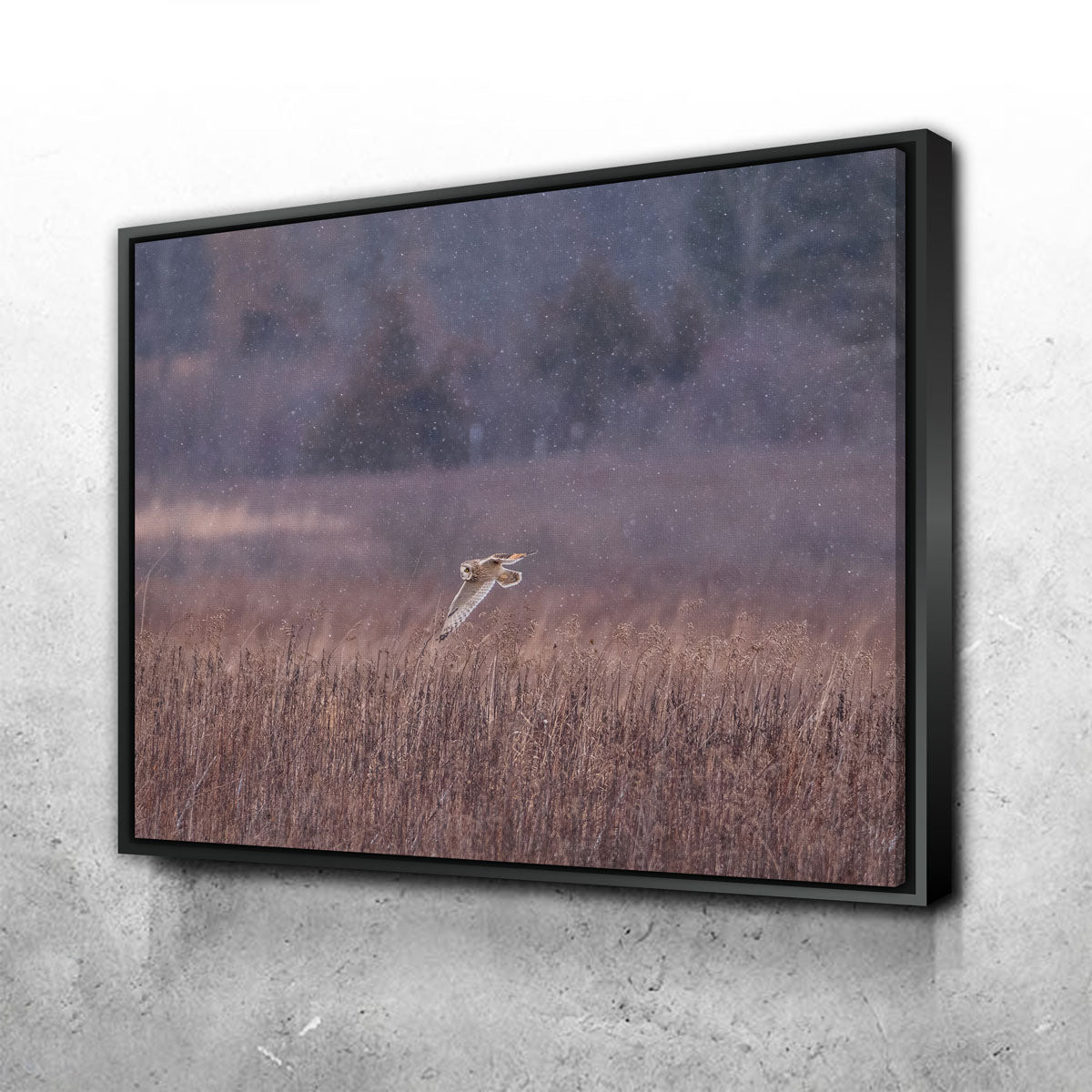 Owl in the Snow Wall Art