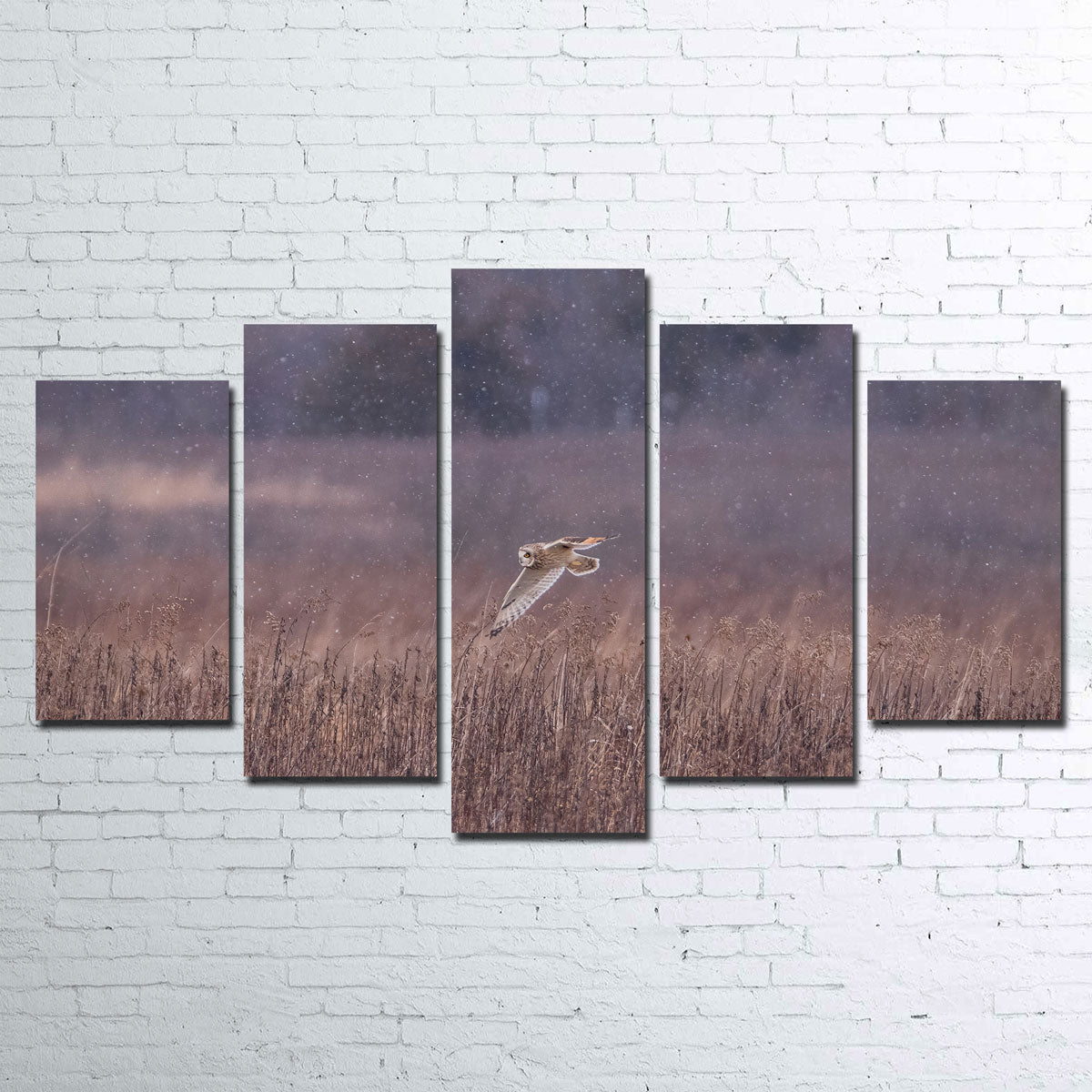 Owl in the Snow Wall Art