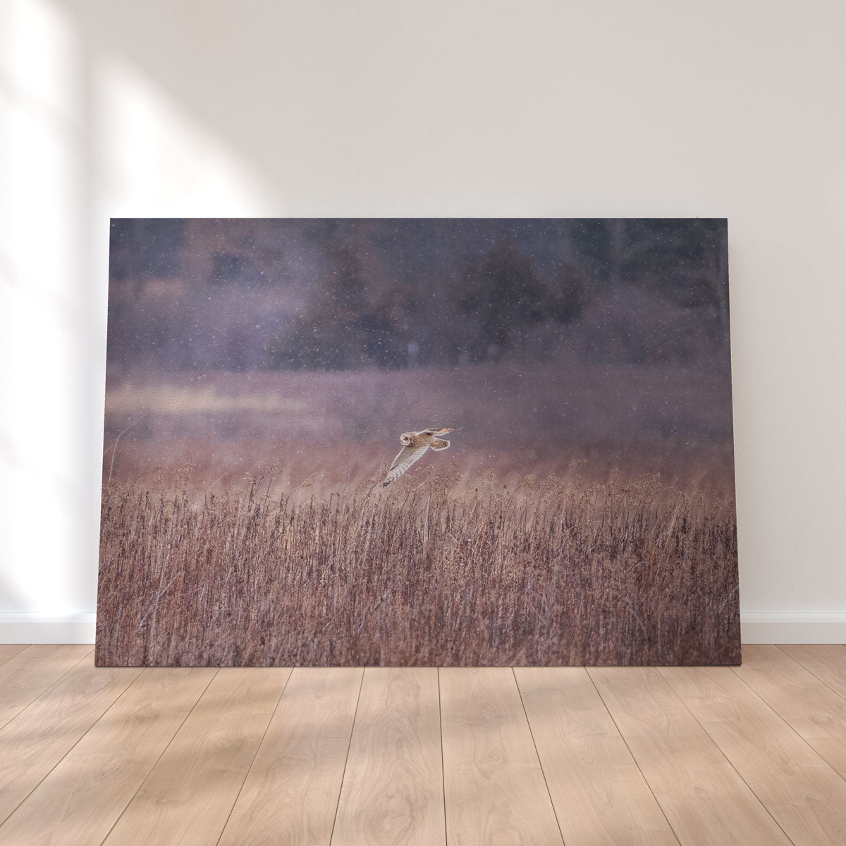 Owl in the Snow Wall Art