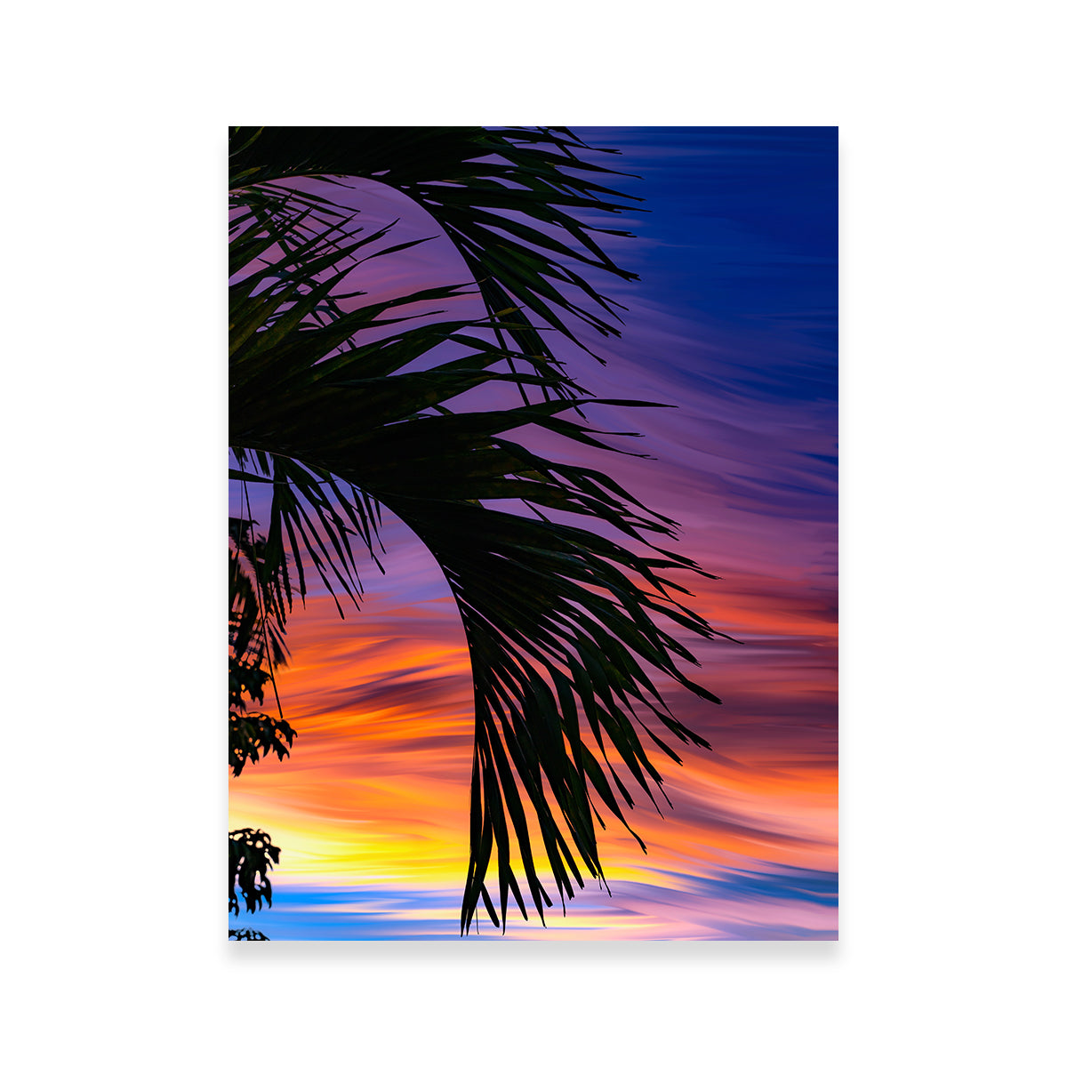 Painted Palm Wall Art