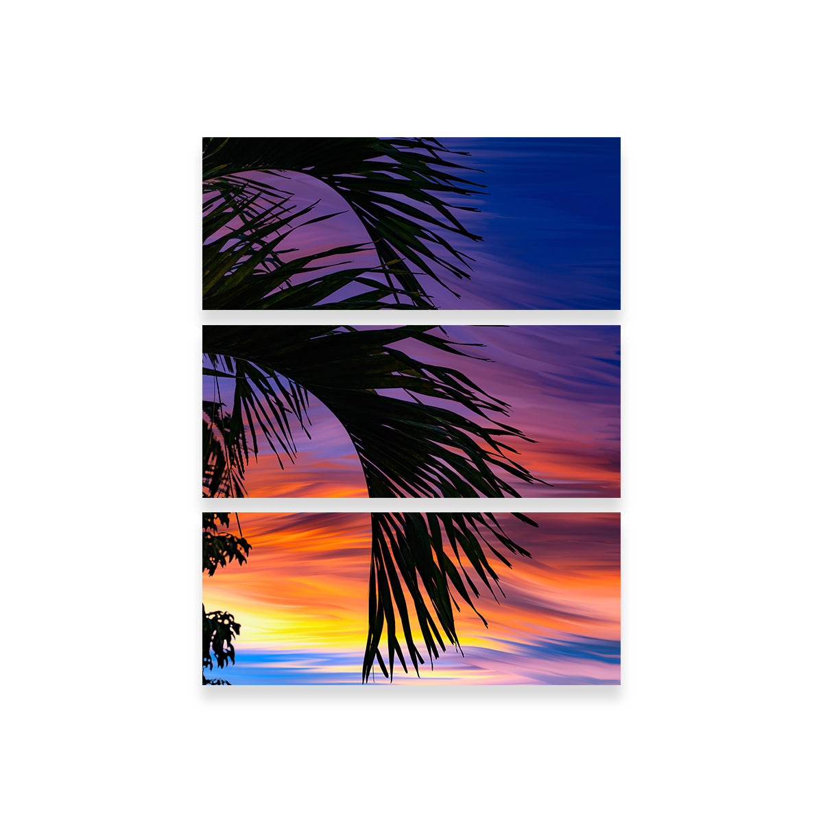 Painted Palm Wall Art