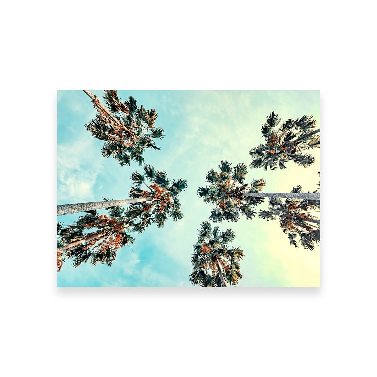Palm Trees Blue Sky Wall Art