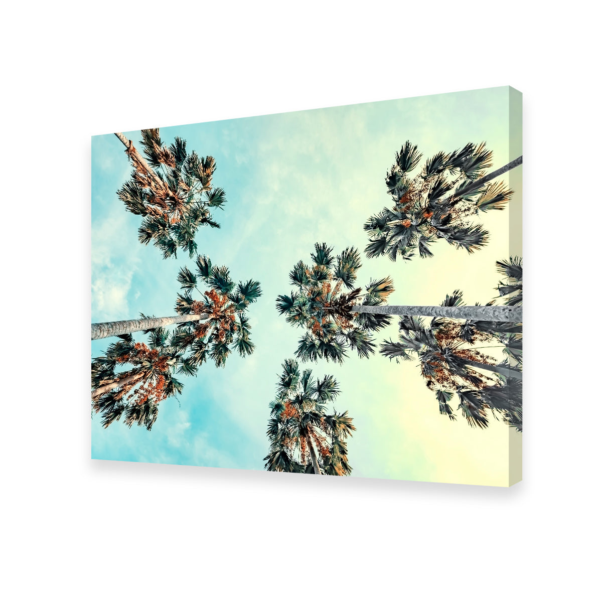Palm Trees Blue Sky Wall Art