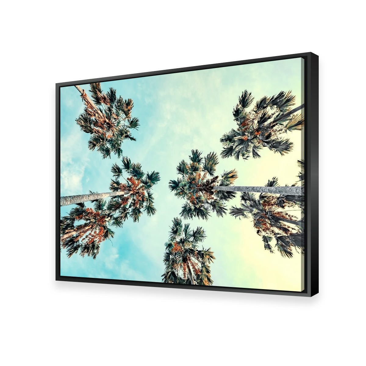 Palm Trees Blue Sky Wall Art