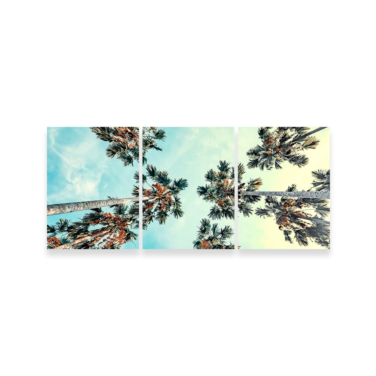 Palm Trees Blue Sky Wall Art