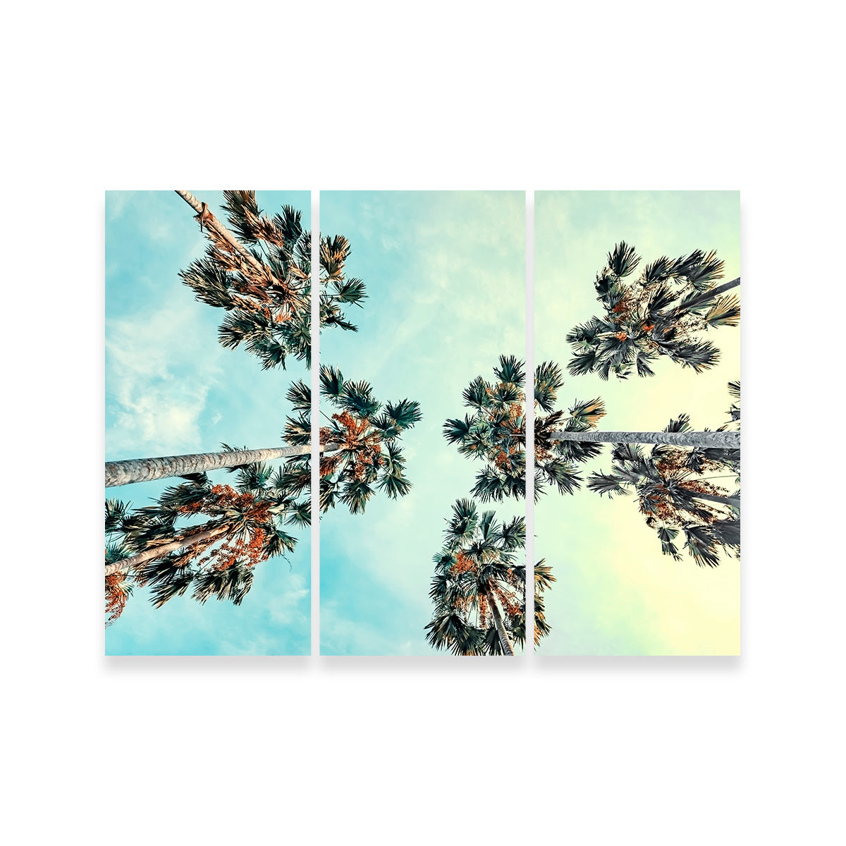 Palm Trees Blue Sky Wall Art