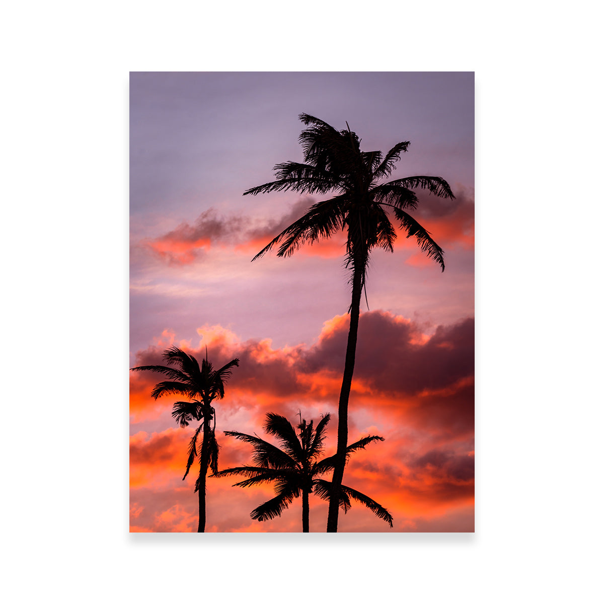 Palm Trees at Sunset Wall Art