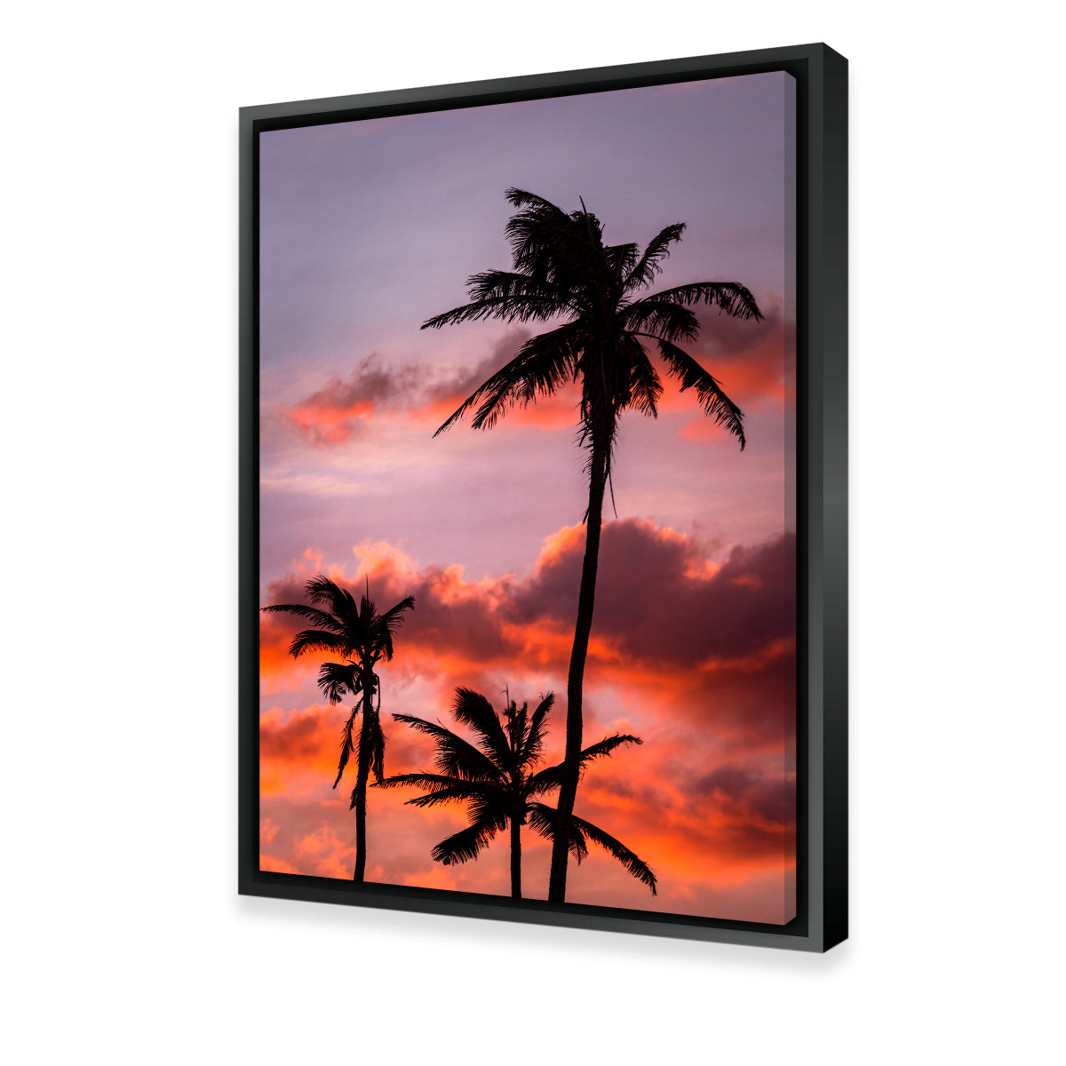 Palm Trees at Sunset Wall Art