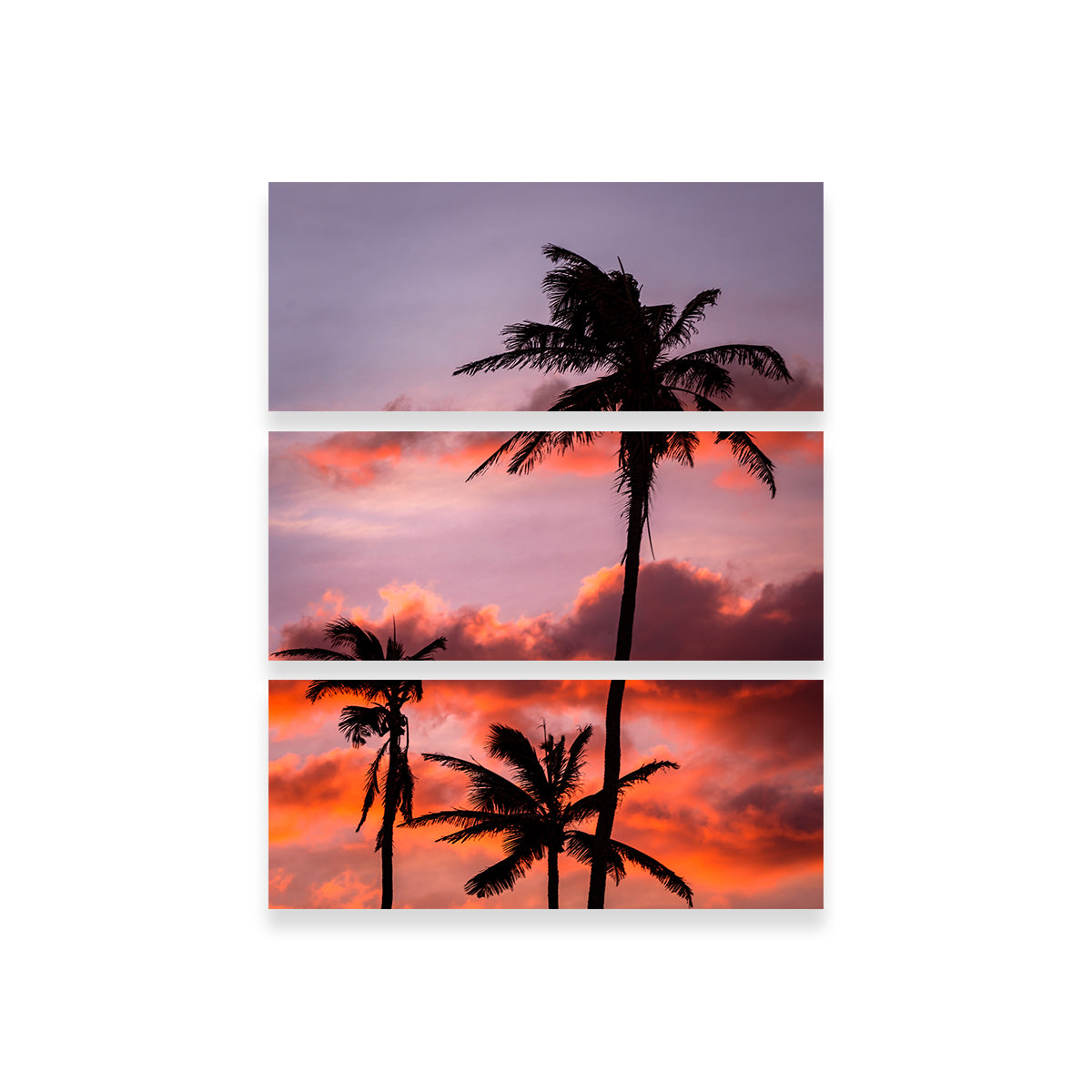 Palm Trees at Sunset Wall Art
