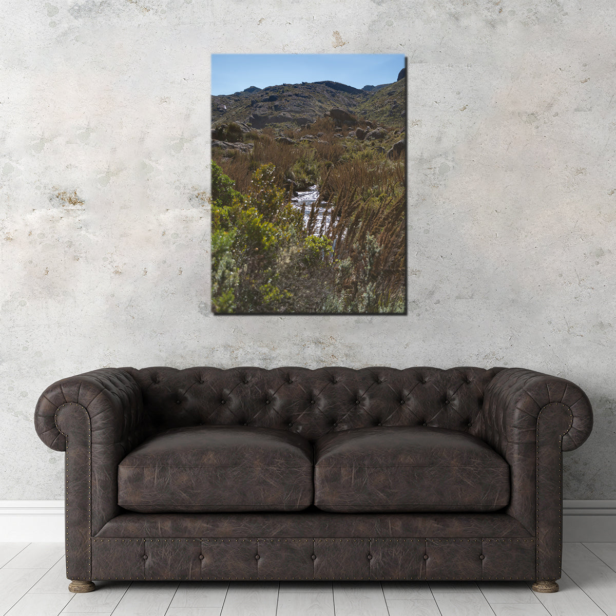 Path - Itatiaia National Park Brazil Wall Art
