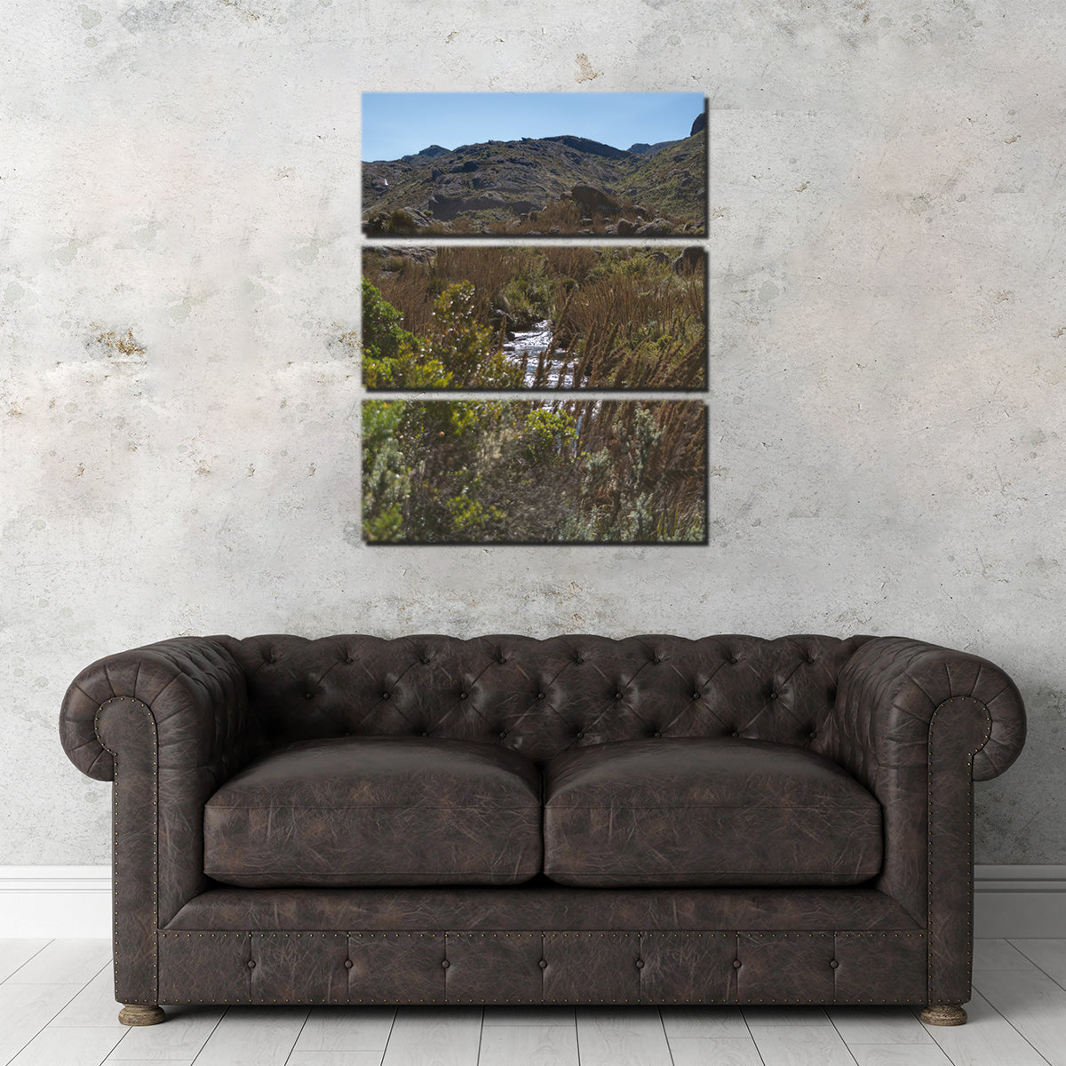Path - Itatiaia National Park Brazil Wall Art