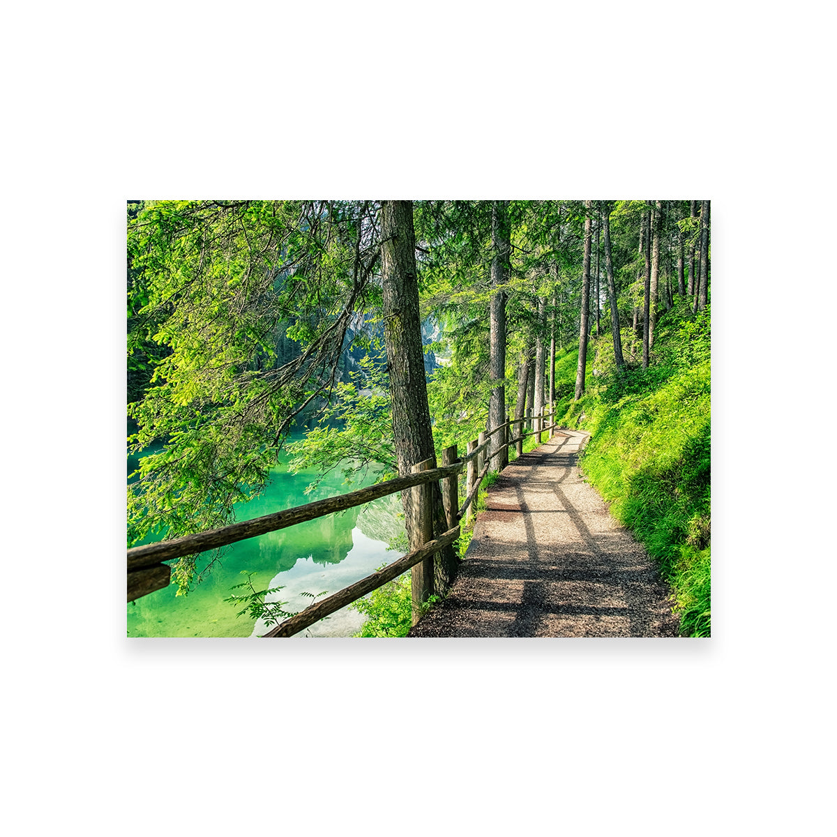 Path By The Lake Wall Art