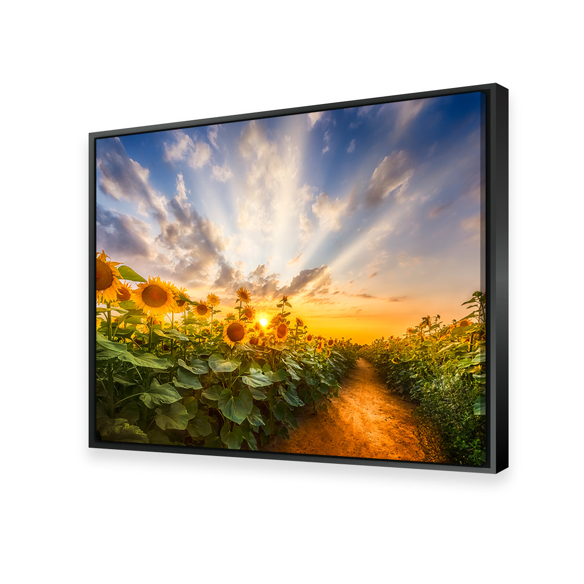 Path Through the Sunflower Field Wall Art