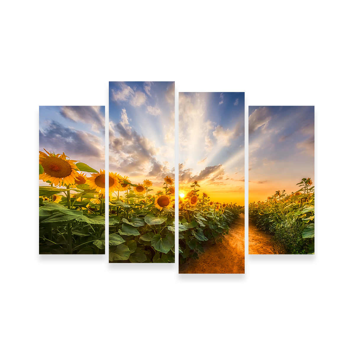 Path Through the Sunflower Field Wall Art