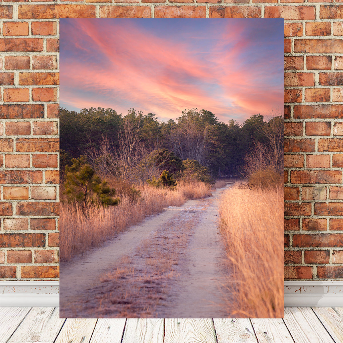 Path to the Cranberries Wall Art