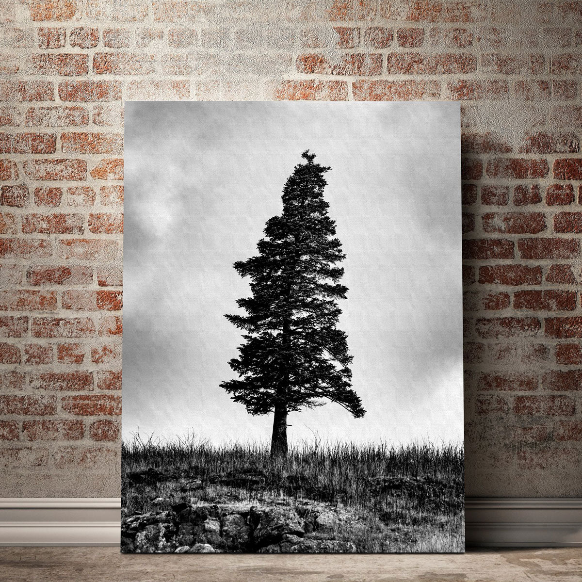 Pine Canvas Set