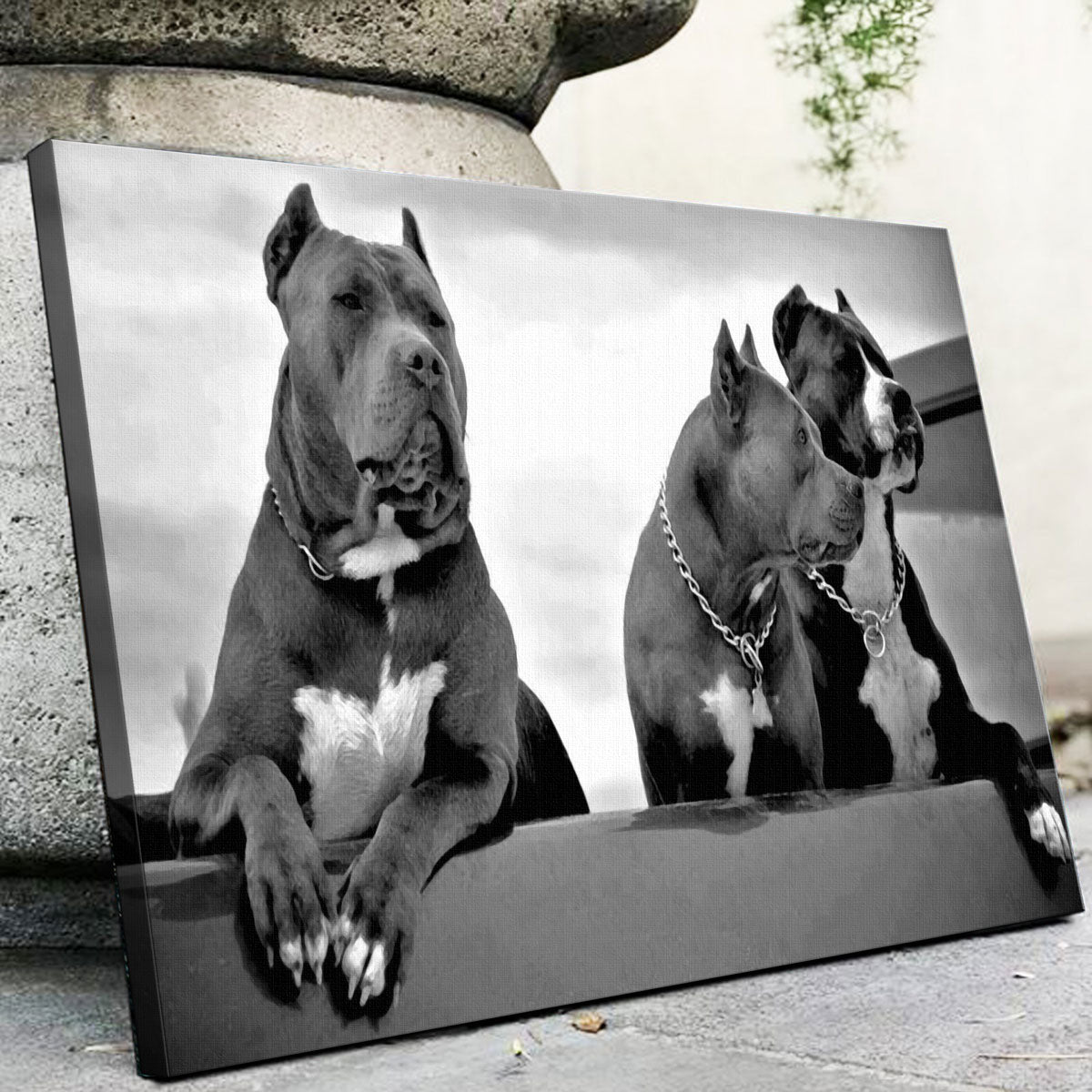 Pit Bulls Wall Art