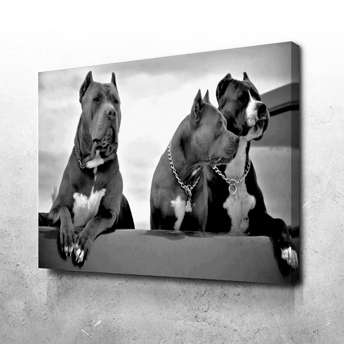 Pit Bulls Wall Art