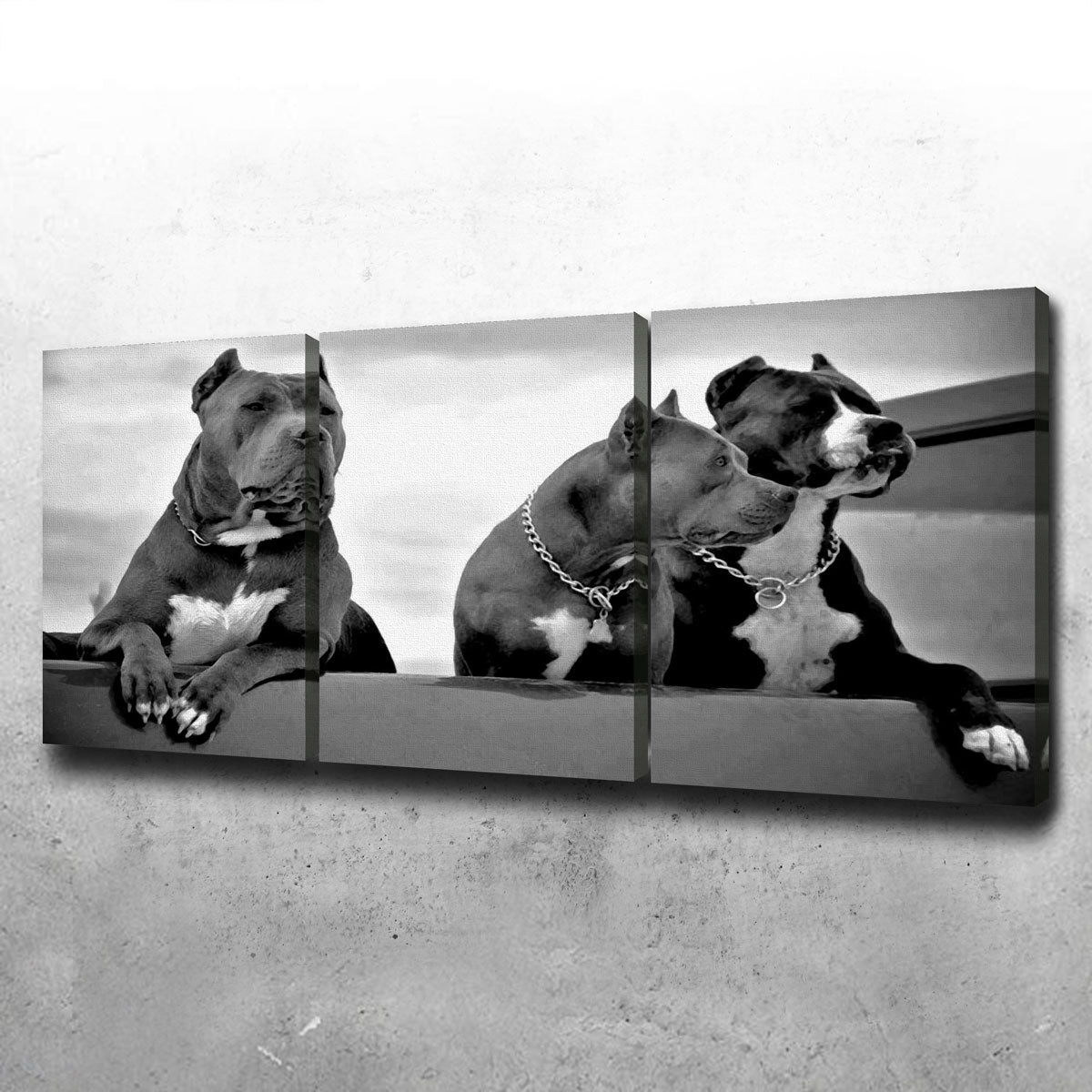 Pit Bulls Wall Art