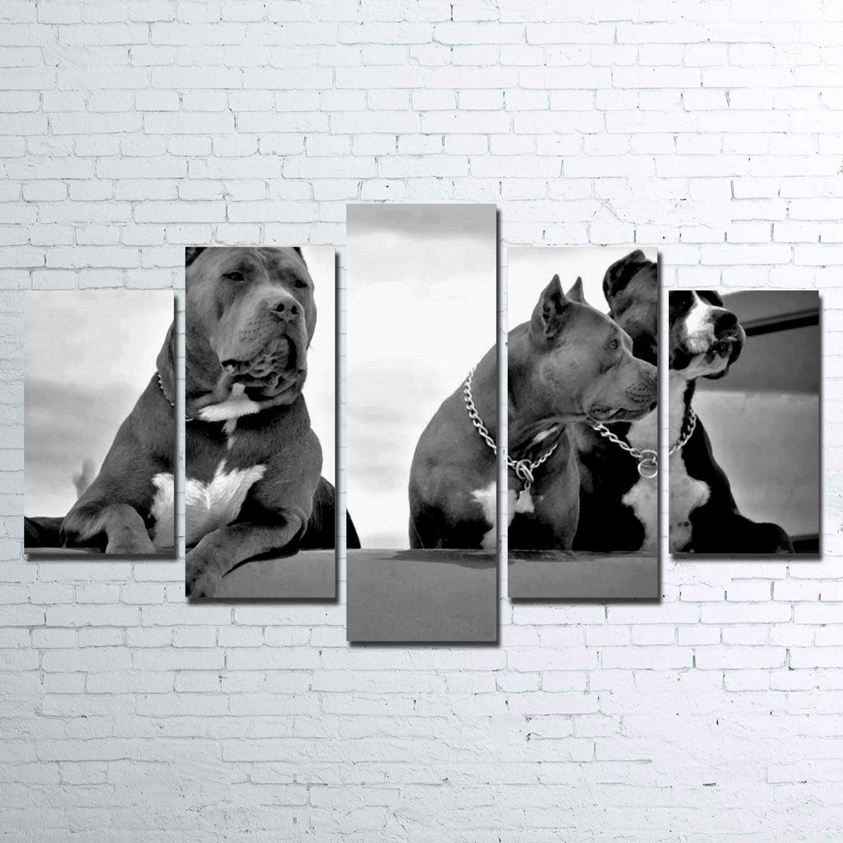 Pit Bulls Wall Art