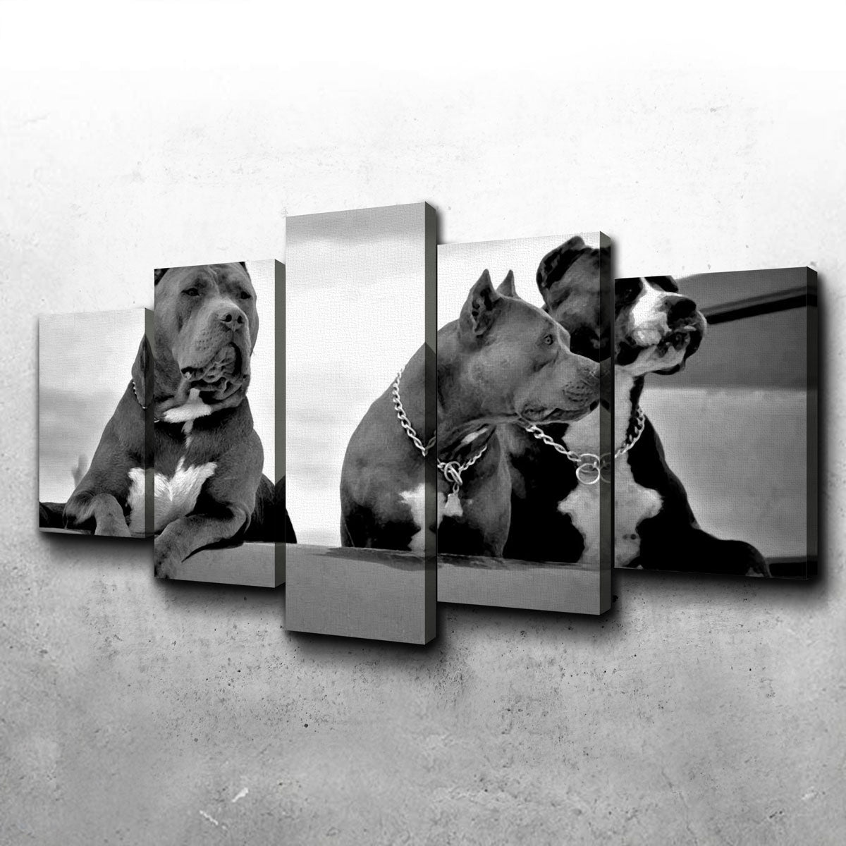 Pit Bulls Wall Art