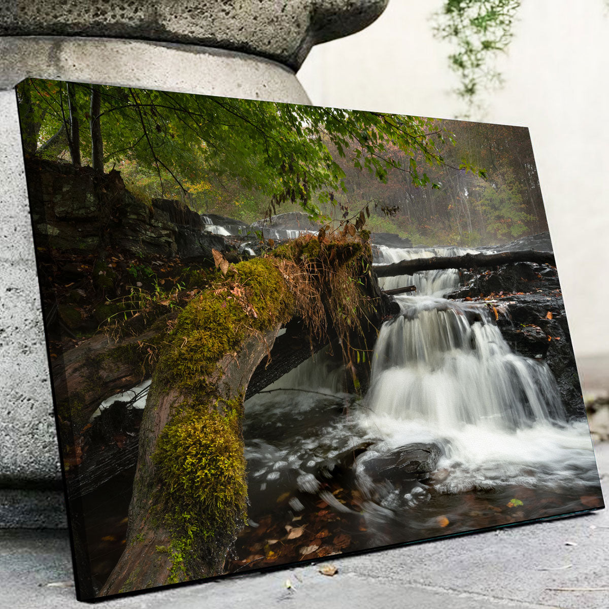 Mossy Limbs Wall Art