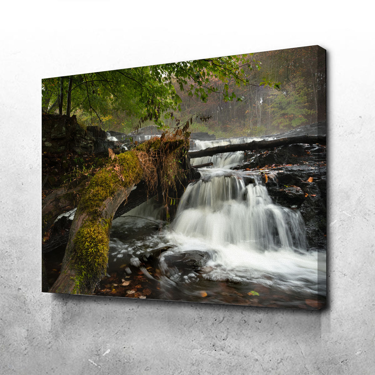 Mossy Limbs Wall Art