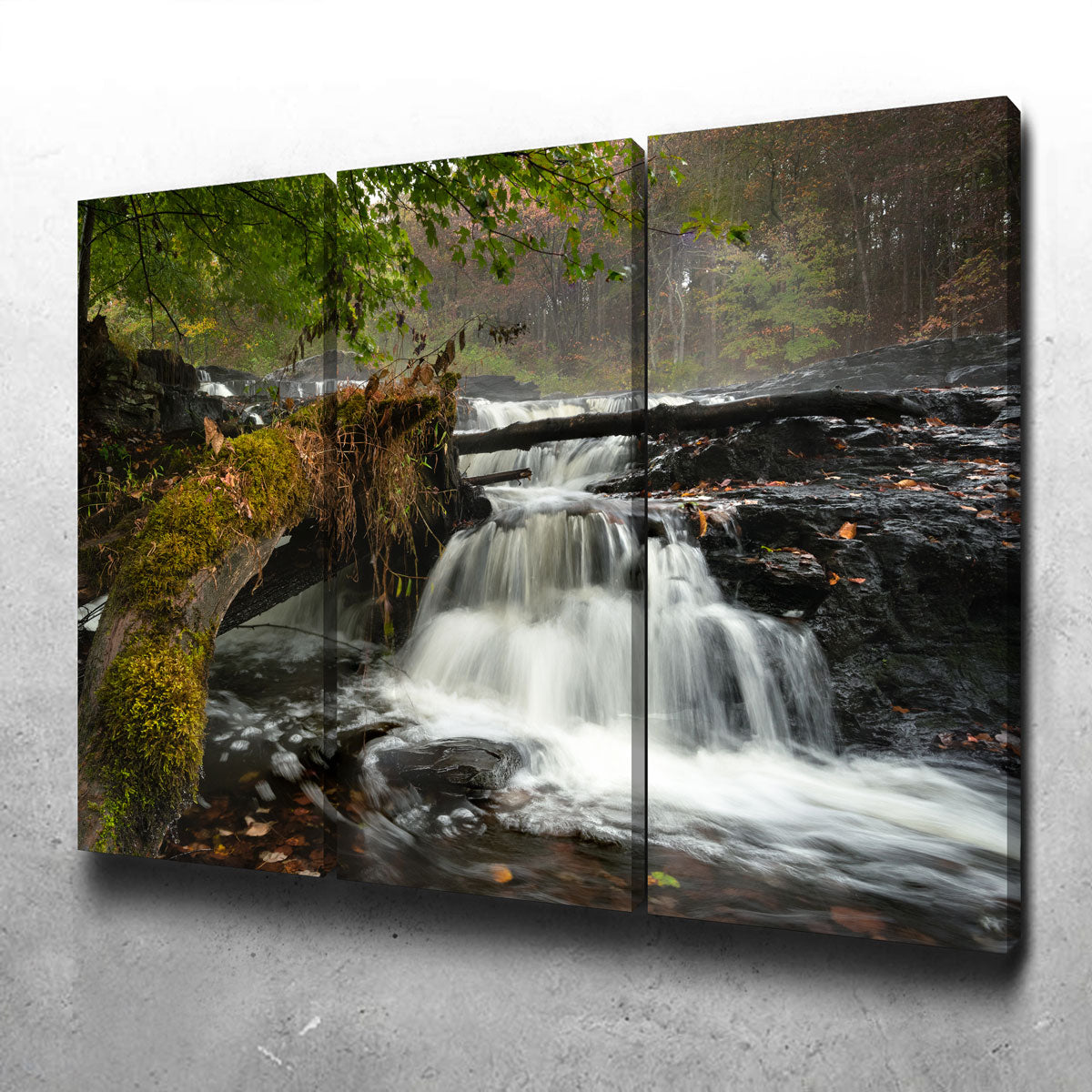 Mossy Limbs Wall Art