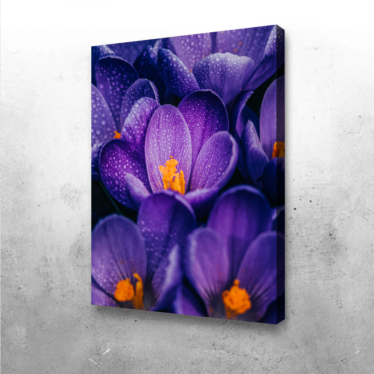 Pollen Purple Wall Art